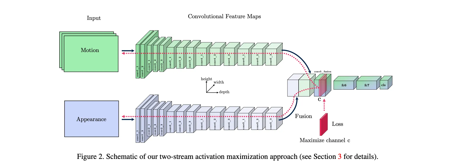 activation-maximization