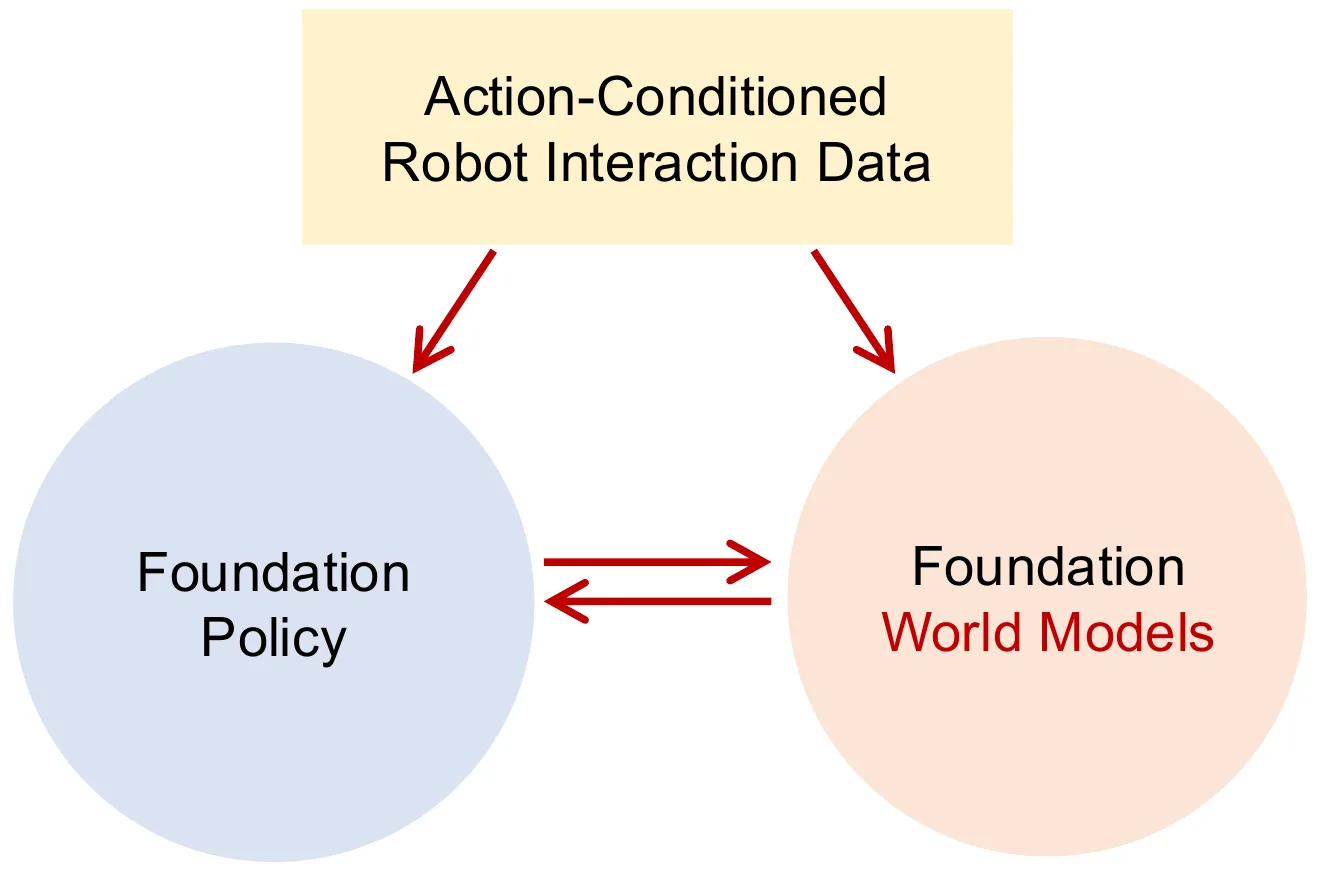 Action-conditioned robot interaction data로 foundation policy와 foundation world model을 함께 학습하는 관계