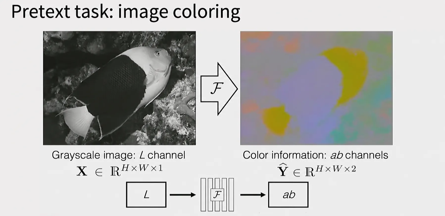 Grayscale image의 L channel에서 ab color channel을 예측하는 colorization pretext task