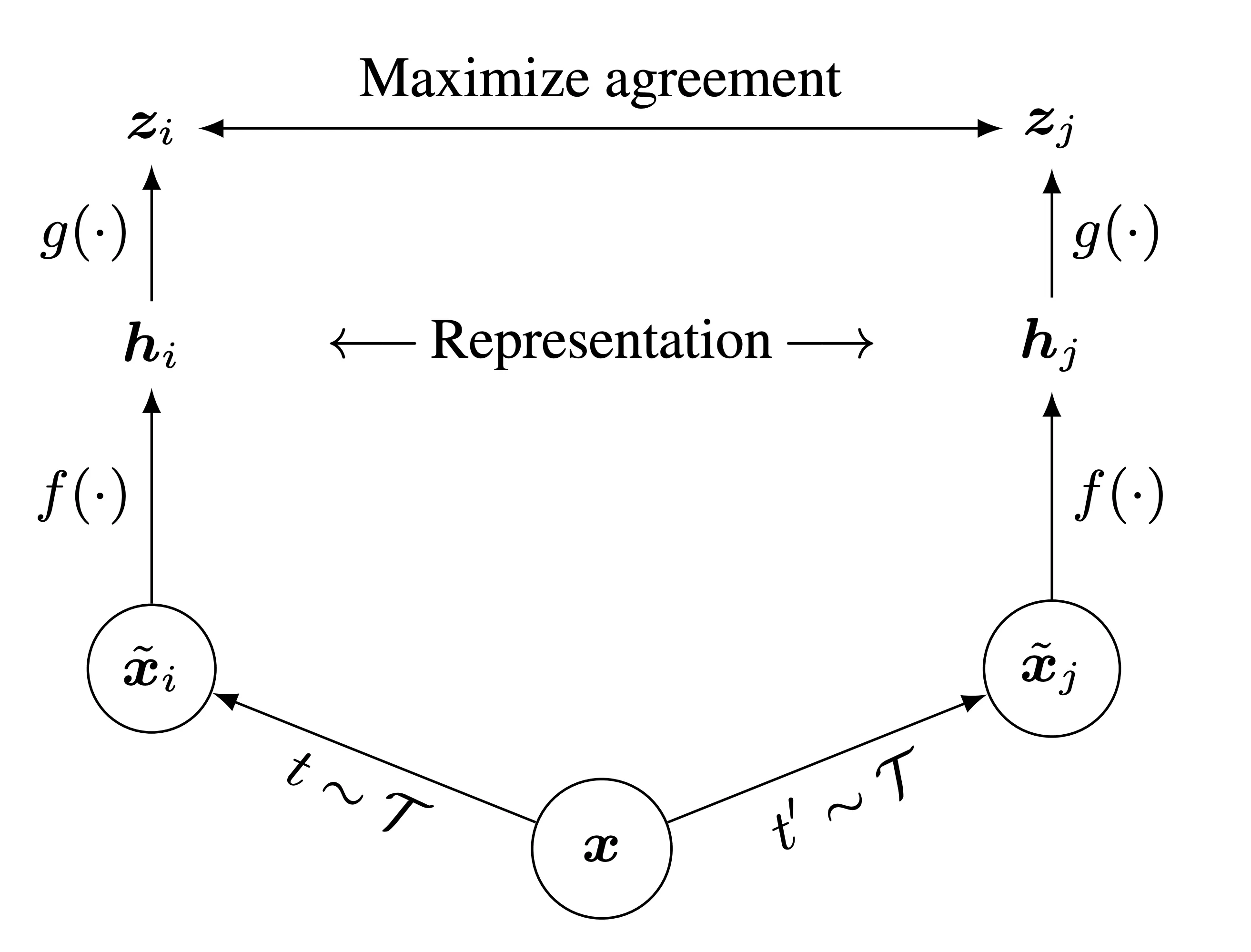 두 augmented view를 encoder와 projection head에 통과시켜 contrastive loss를 계산하는 SimCLR 구조